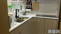 愉田苑 愉健閣 (C座) 低層 7室 沙田/火炭/九肚山