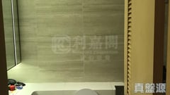 玖珑山 天珑阁 第1座 高层 A室 沙田/火炭/九肚山