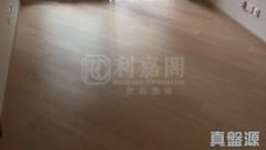 溱柏 6座 高層 F室 元朗