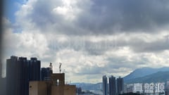 嘉徑苑 嘉善閣 (B座) 極高層 5室 大圍