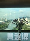 溱岸8號 1座 A室 大圍