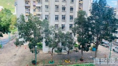 兆安苑 定禧阁 (C座) 中层 6室 屯门