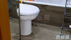 翹翠峰 5座 低層 F室 元朗