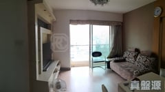 卓譽峰 中層 旺角/油麻地