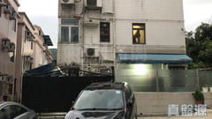 井欄樹 西貢
