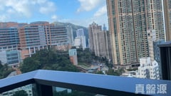 翰林峰 5座 极高层 F室 中上环/西区