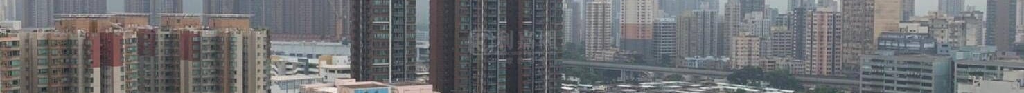 映御 2座 极高层 L室 元朗