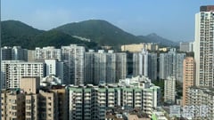 悅雅 極高層 F室 西九龍