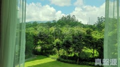 嵐山 1期 9座 低層 D室 大埔