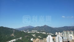 名家匯 2座 極高層 B室 大圍