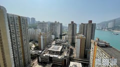 青雅苑 極高層 01室 青衣
