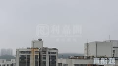 丽城花园 2期 9座 极高层 H室 荃湾