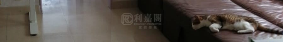 BELVEDERE GARDEN Phase 3 - Block 1 Medium Floor Zone Flat G Tsuen Wan
