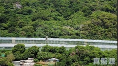 麗城花園 3期 2座 高層 C室 荃灣