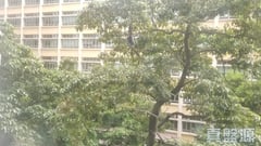 麗城花園 3期 3座 低層 B室 荃灣