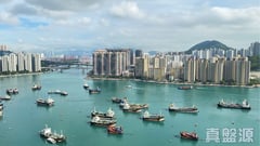 丽城花园 3期 5座 极高层 G室 荃湾