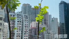 城市花園 2期 13座 D室 北角/北角半山