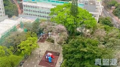 北角中心大廈 C座 極高層 3室 北角/北角半山