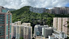 慧雲峰 高層 F室 北角/北角半山