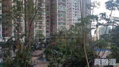 宝马山花园 2期 11座 低层 A室 北角/北角半山