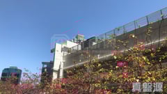 百福花园 安福阁 中层 D室 北角/北角半山