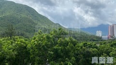 藍天海岸 1期 1座 低層 E室 東涌