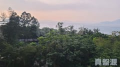 坚城中心 低层 D室 中上环/西区