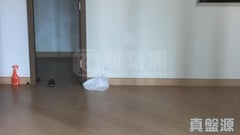 GRAND YOHO 2期 3座 低層 C室 元朗