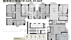 維港峰 低層 D室 中上環/西區