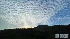 天钻 8座 高层 K室 大埔