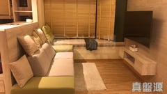 欣廷軒 2座 極高層 B室 沙田/火炭/九肚山