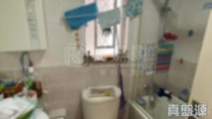 愉翠苑 愉政閣 (R座) 低層 5室 沙田/火炭/九肚山