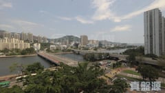 富豪花園 麗人閣 (N座) 中層 A室 沙田/火炭/九肚山