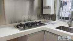 沙田第一城 2期 19座 B室 沙田/火炭/九肚山