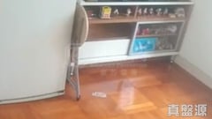 建輝大廈 高層 B室 元朗