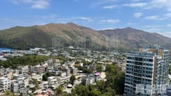 峻巒 2A期 PARK YOHO GENOVA 12座 極高層 A室 元朗