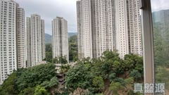 嘉峰臺 2期 1座 低層 H室 九龍灣/牛池灣/鑽石山/黃大仙