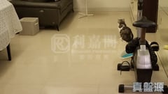 宇晴軒 2期 7座 低層 CD室 西九龍