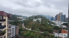 美孚新邨 6期 蘭秀道46號 D室 美孚/華景
