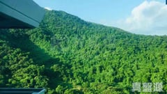 嵐山 1期 8座 高層 A室 大埔