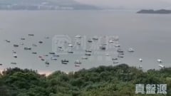 迎海 5期 迎海.御峰 10座 中層 A室 馬鞍山