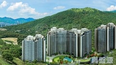 玖瓏山 月瓏閣 第3座 中層 E室 沙田/火炭/九肚山
