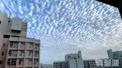 天頌苑 頌映閣 (G座) 極高層 07室 天水圍