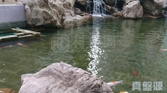 天盛苑 盛賢閣 (D座) 高層 01室 天水圍