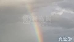 溱柏 5座 高層 C室 元朗