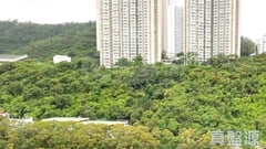 青衣邨 宜逸樓 15室 青衣