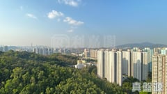 昌盛苑 昌兆閣 (B座) 極高層 5室 上水/粉嶺/古洞