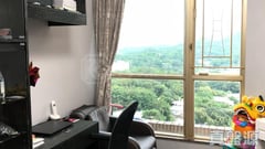 碧湖花園 2座 高層 A室 上水/粉嶺/古洞