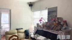 粉岭中心 1期 E座 极高层 5室 上水/粉岭/古洞