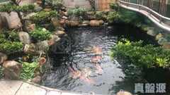 加州豪園 錦繡/加州/葡萄園